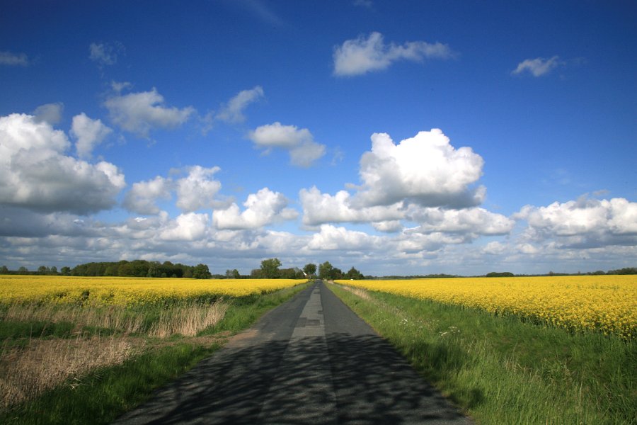 Osten-Altendorf_5152