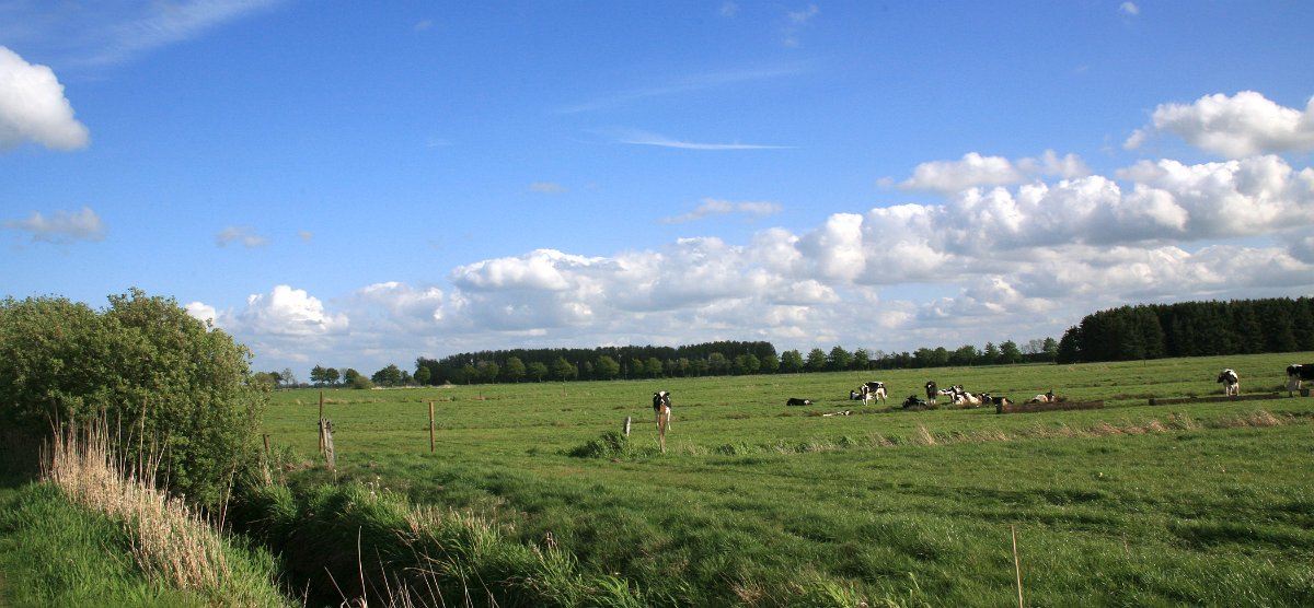 Osten-Altendorf_5209