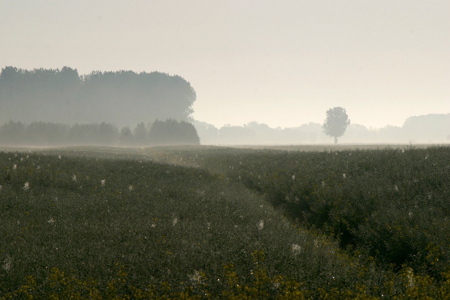 Osten-Altendorf__2599