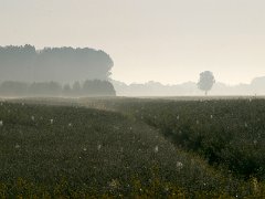 Osten-Altendorf__2599