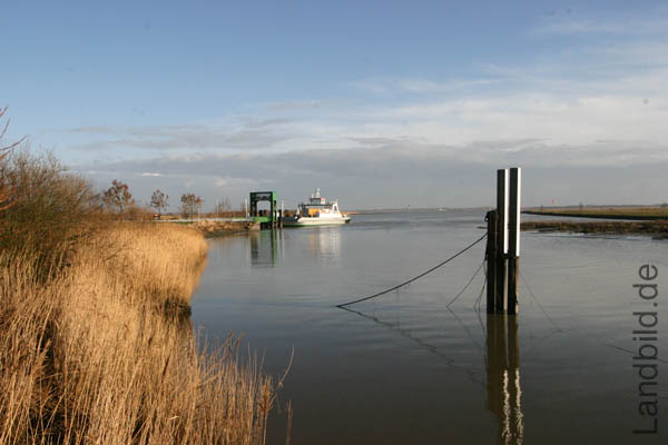 Wischhafen_9795