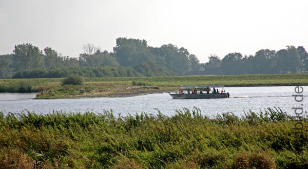 06-PuetteKraneburg_2019