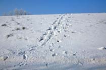 4-SchneeSpuren