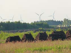 Altendorfer Moor1140067