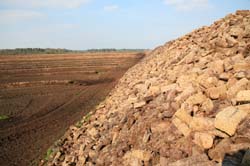 Altendorfer Moor_6859