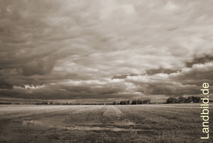 Freiburg-Allwoerden_6571