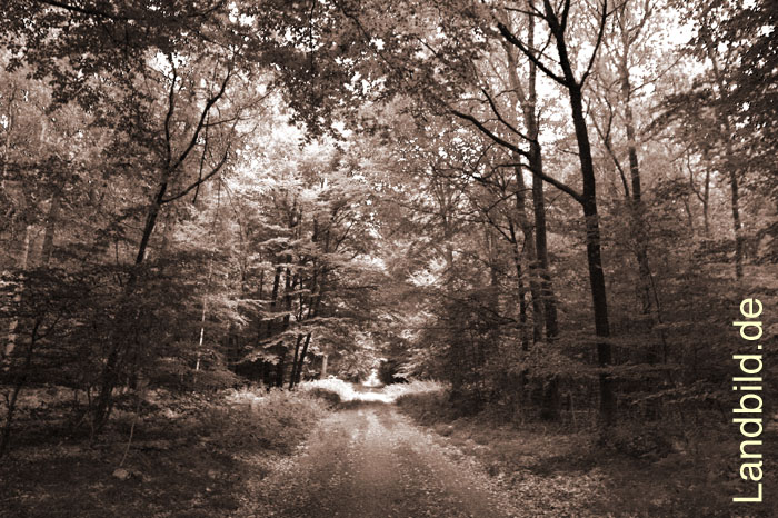 Oldendorf-Kaken_5304