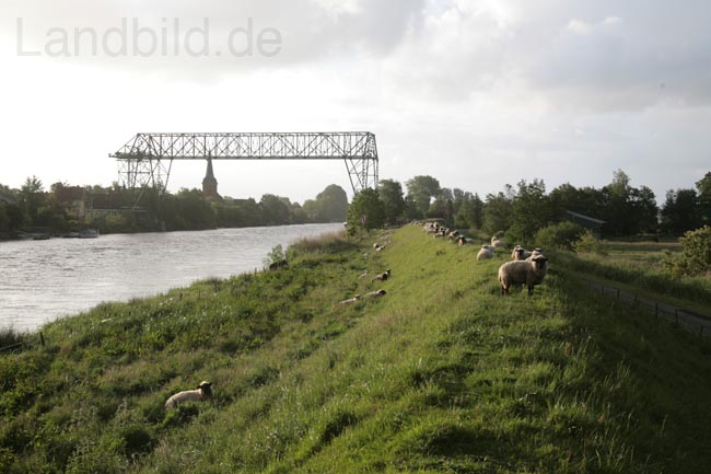 Sommer_9531