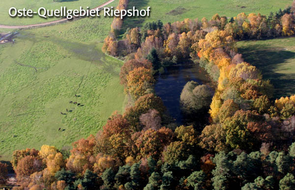 0584-Riepshof
