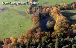 0584-Riepshof