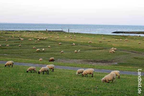 Altenbruch_4714