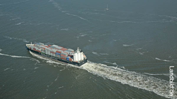Container_1305