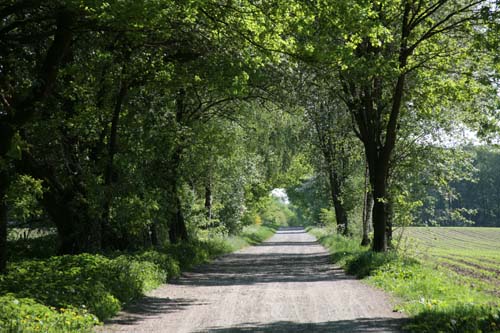 22-Lavenstedt_1084