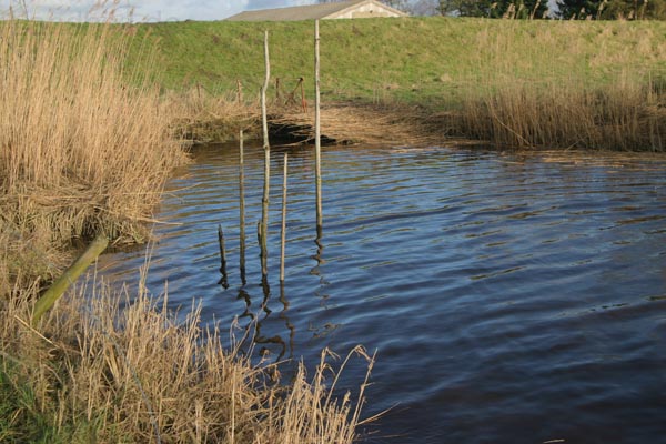 AchoefenerDeich_8512