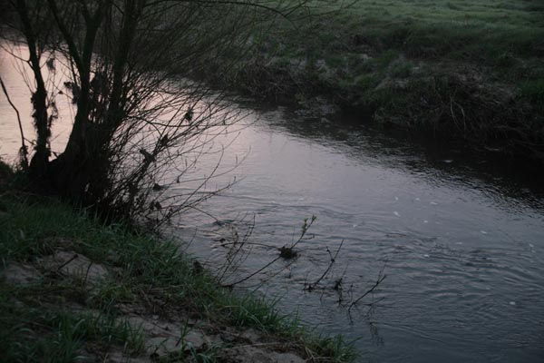 OberOste_8491