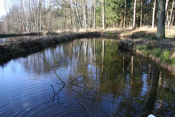 OsteFischteiche_6420