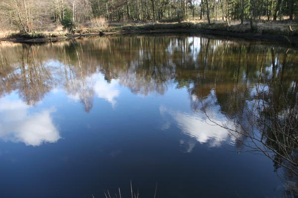 OsteFischteiche_6434