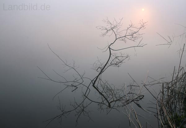 OsteSPIEGELUNG_9041