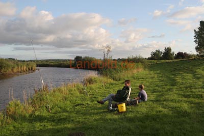 52-Niederochtenh_9250