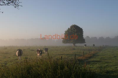 56-Lamstedt-Niendorf_9368