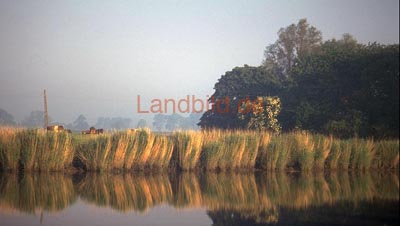 63-Achthoefenerdeich_02