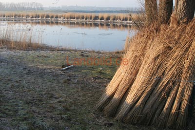 63-Achthoefenerdeich_1906