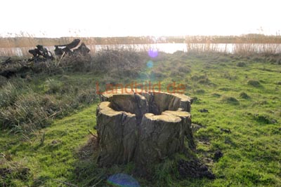 63-Achthoefenerdeich_8529