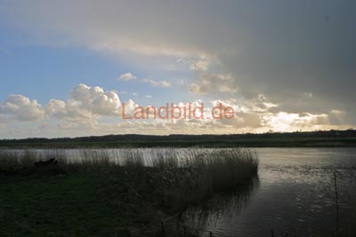 63-Oste_8576