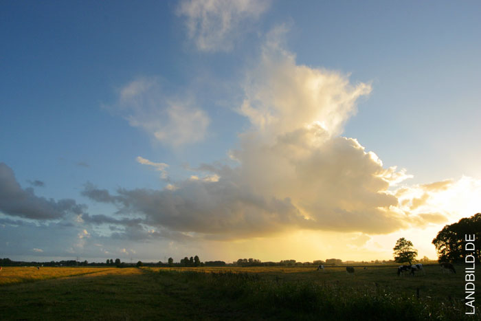 Achthoefen_5485