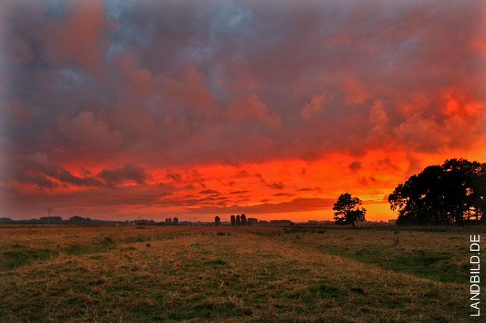 sonnenuntergang_8795