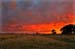sonnenuntergang_8795