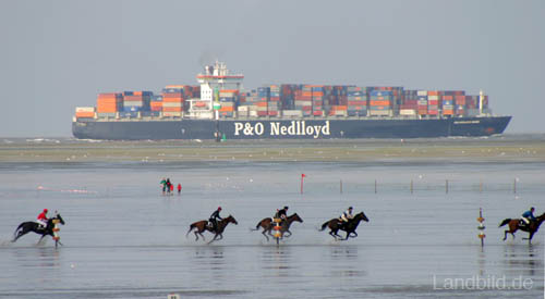 Duhner Wattrennen_5949