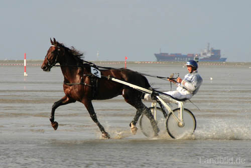 Duhner Wattrennen_5975