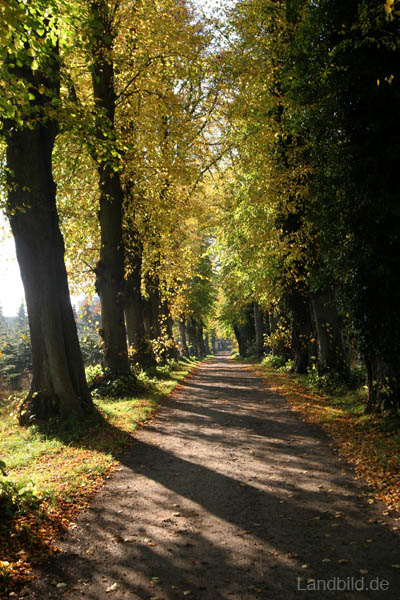 Allee_0290
