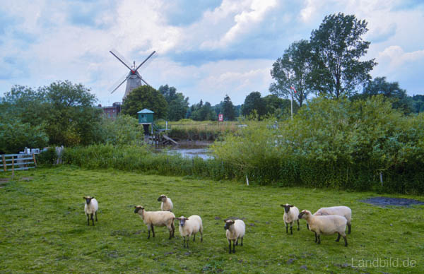 An der Oste-07b