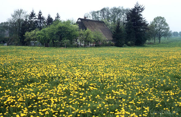 Laumuehlen_03