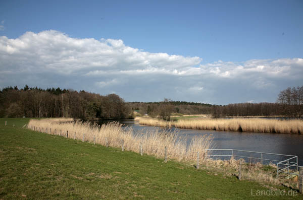 Laumuehlen_4364