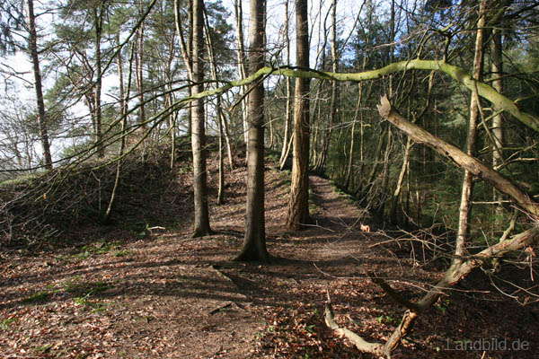 Laumuehlen_6536