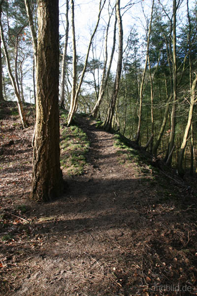 Laumuehlen_6537