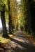 Allee_0290