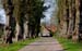 Allee_7368