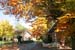 Herbst_0292