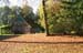 Herbstwald_0351