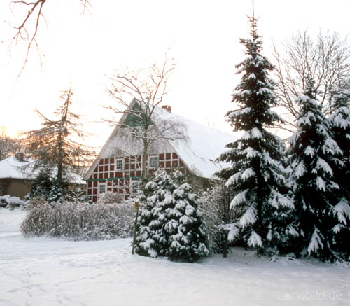 Winter-Westersode_12