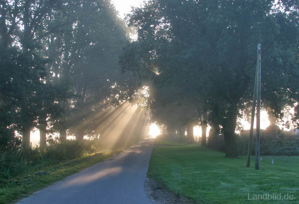 Ortsteil-Niendorf_9345