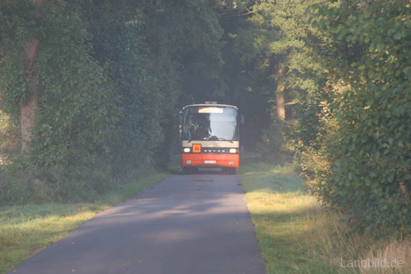 Ortsteil-Niendorf_9372