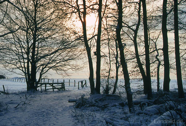 Winter-Landschaft_10