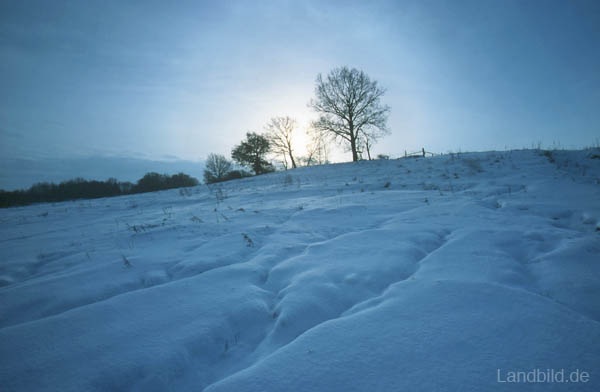 Winter-Landschaft_20