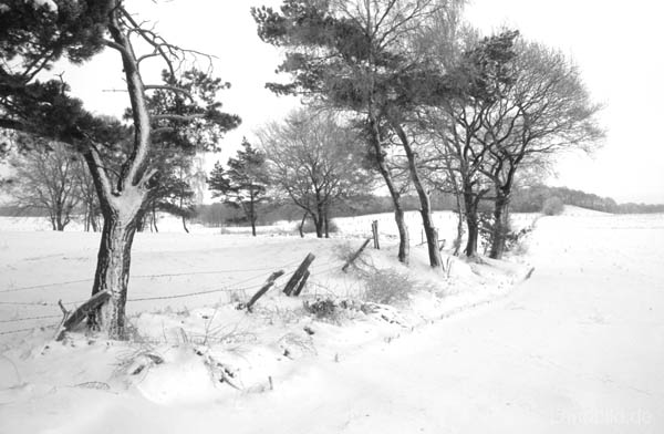Winter-Landschaft_W35