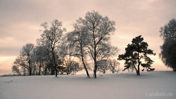 Winter-Landschaft_W40